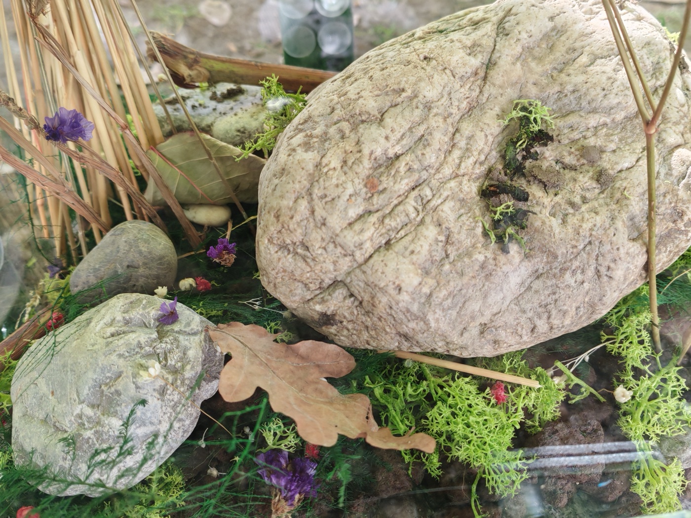 Kurgarten Detail